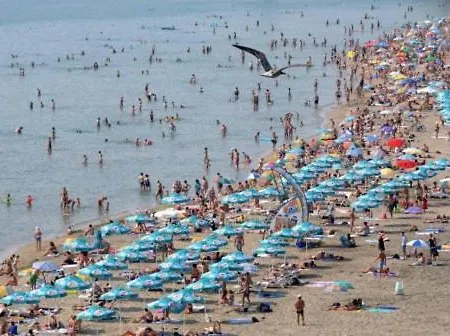 студио بورغاس